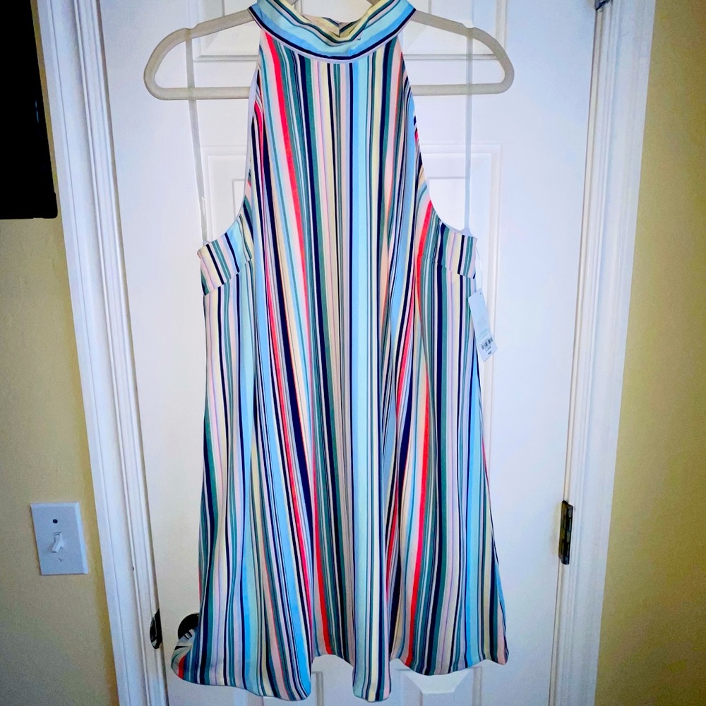 Fun flirty shift dress